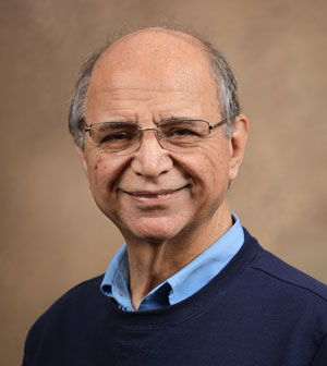 Engineering Professor Dr. Benham Kamali
